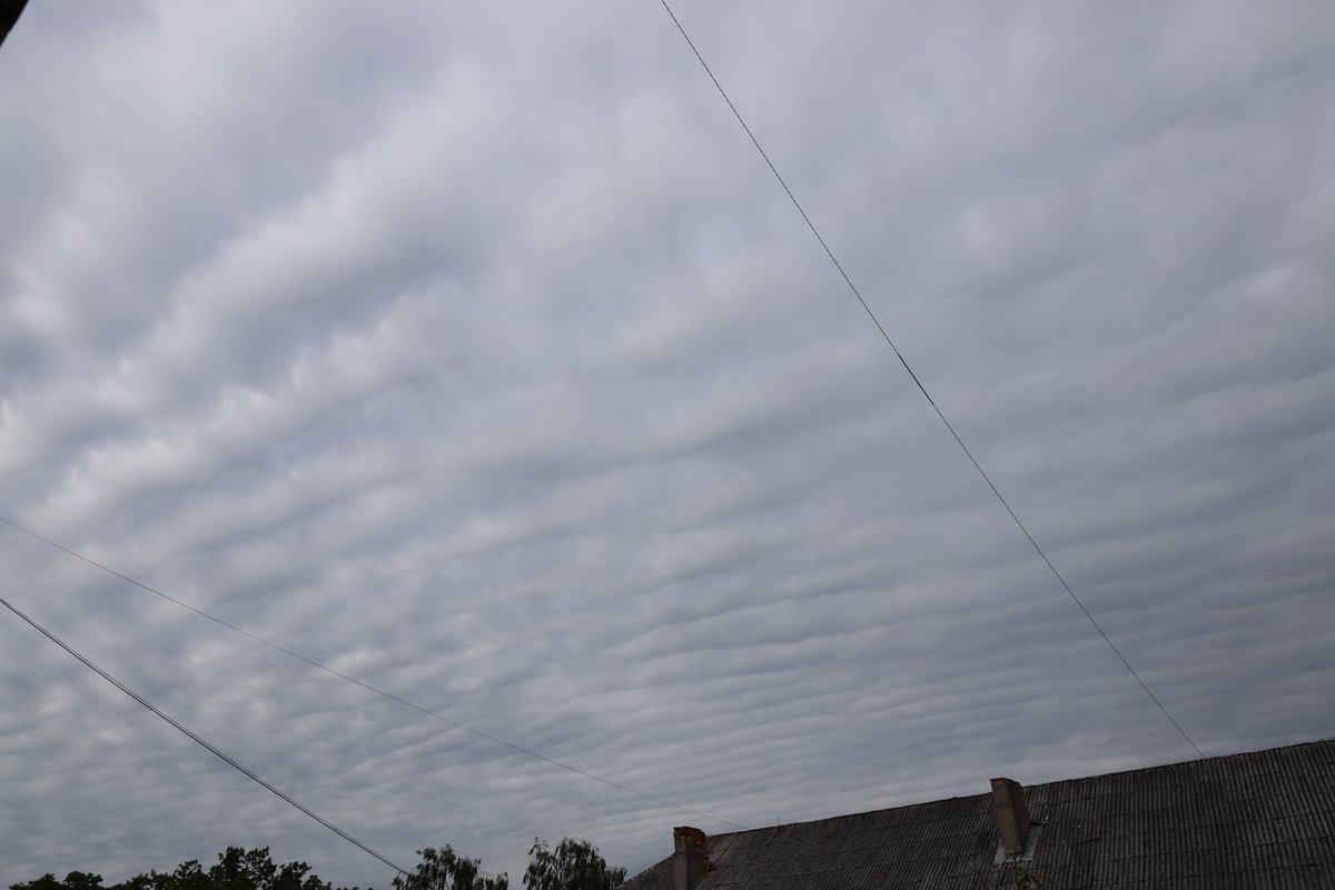 MeteoLatvia's tweet photo. Visai iespaidīgi mākoņi virs Jelgavas pašlaik. To latīniskais nosaukums ir "Undulatus asperatus", jeb Asperitas. https://t.co/yt6Qd8gCYf