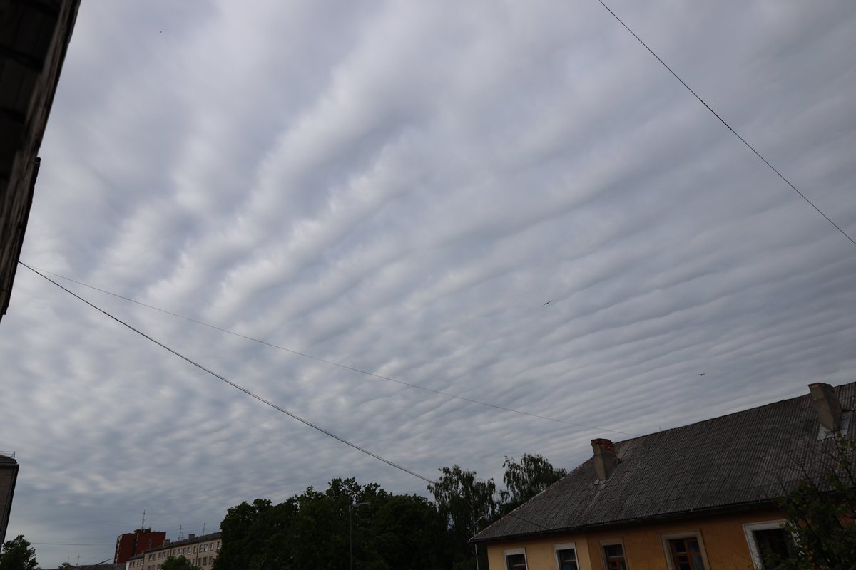 MeteoLatvia's tweet photo. Visai iespaidīgi mākoņi virs Jelgavas pašlaik. To latīniskais nosaukums ir "Undulatus asperatus", jeb Asperitas. https://t.co/yt6Qd8gCYf