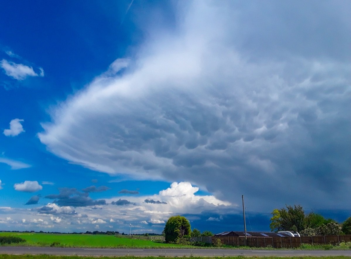 chris_alpacas's tweet photo. Happy #CelebrateTheFens day. I moved here 11 years ago and love the big, full skies we get with our flat land @FascinatingFens #flatnotboring https://t.co/rMiNXnTMqg
