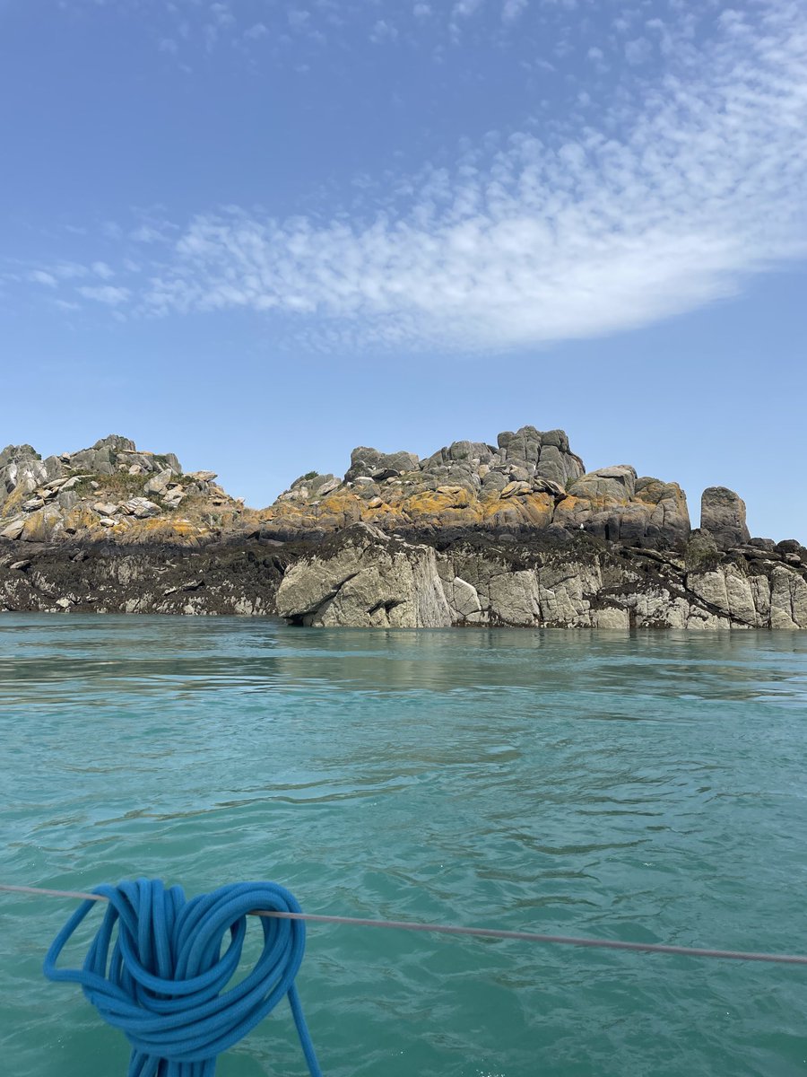 L’île des Landes, un cormoran trône sur la roche