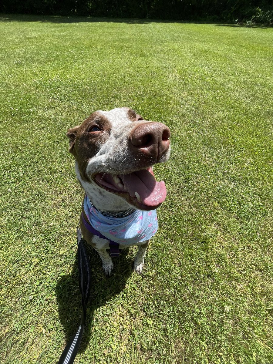 Mrs. Wilk tweet media