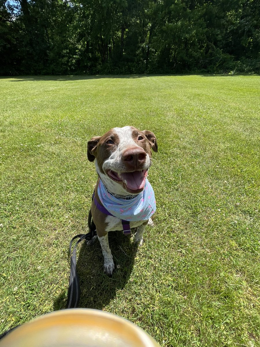 Mrs. Wilk tweet media