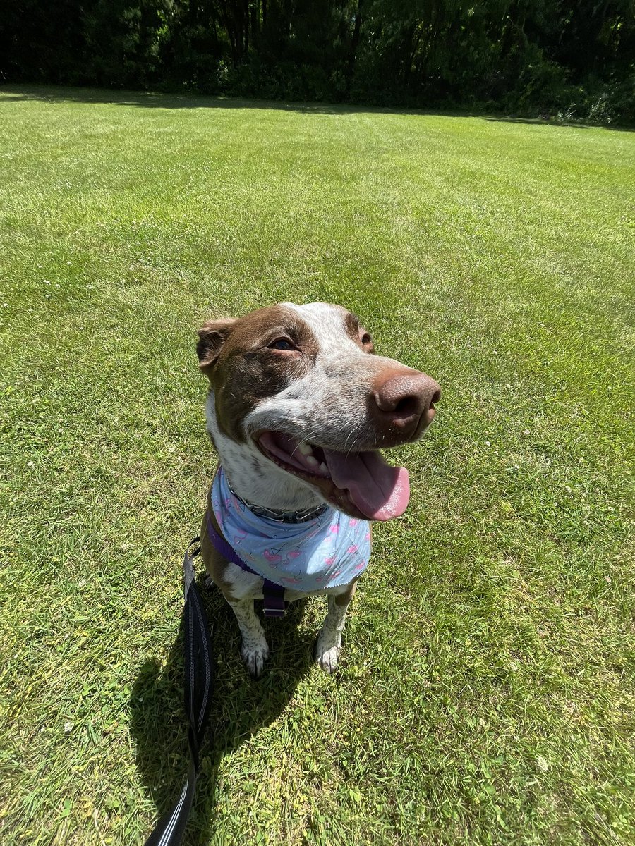 Summer break is so close and more than one of us is ready and excited!