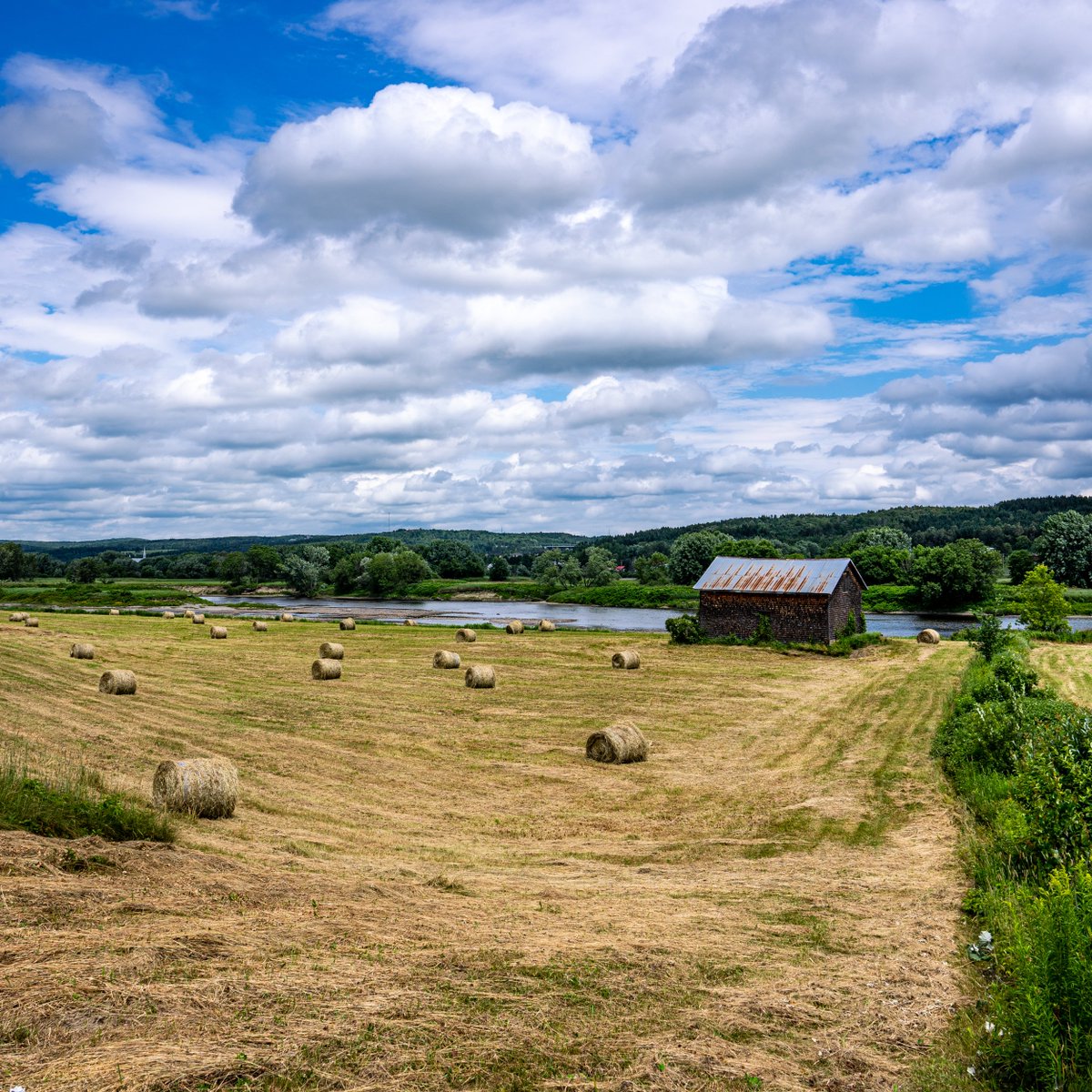 Le #Québec c'est beau - Rivière Chaudière - Entre Saint-George et Beauceville, Chaudière-Appalaches
#québec #chaudièreappalaches #tourduquebec #beauce