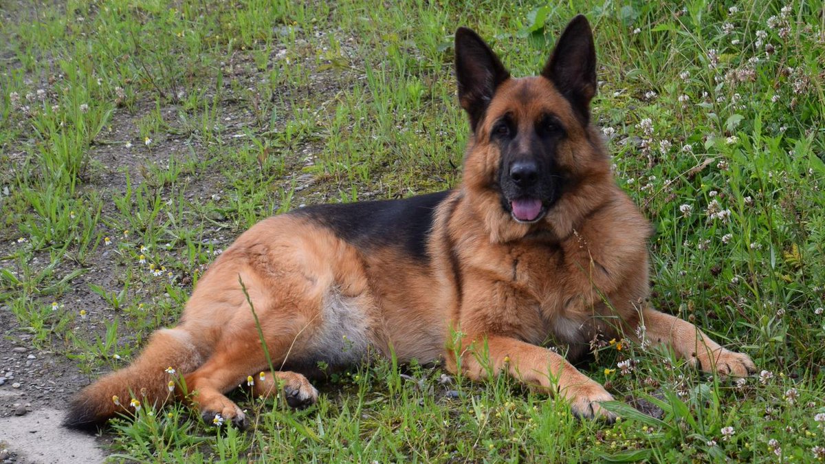 Jonlet raymond tweet media