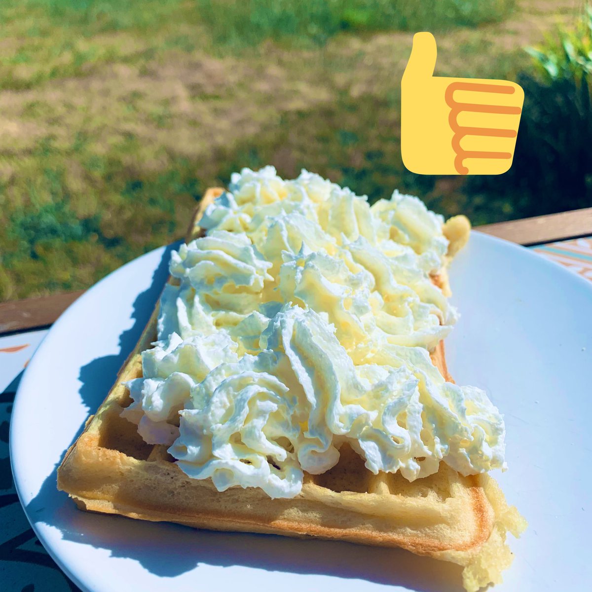 Elsa Alaimo tweet media