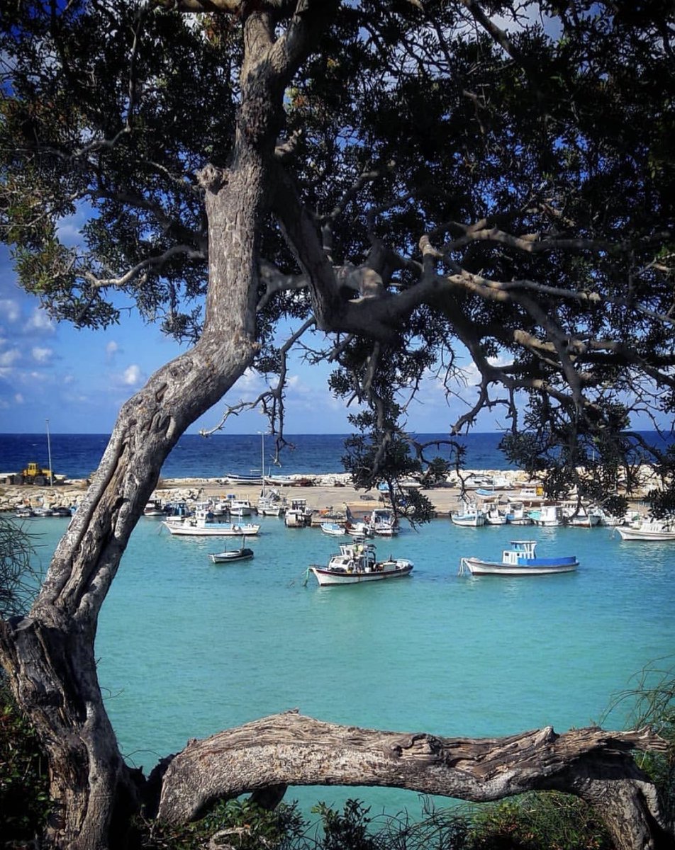 DiscoverSouria's tweet photo. latakia • SYRIA https://t.co/s2EPGzkiW8