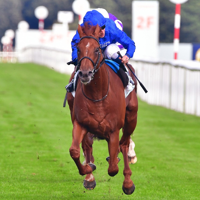 RacingTV's tweet photo. 🗣️"We’re working back from October, very much so. The ground was quick enough for him – he does move better when there’s ease in the ground. I'm pleased."

Charlie Appleby reflects on Hurricane Lane's return in the Hardwicke Stakes 👇 @godolphin