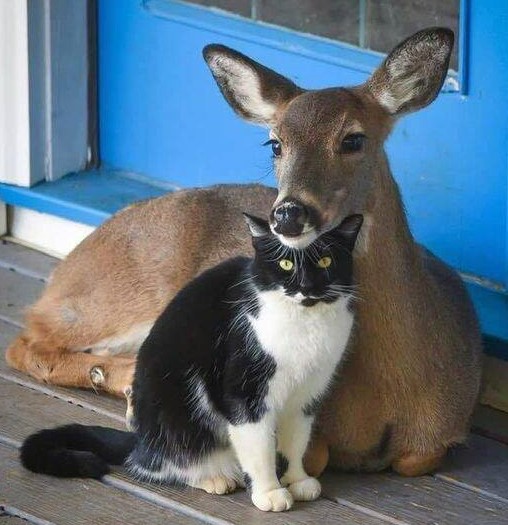 MeanwhileinCana's tweet photo. I thought you might need to see this picture https://t.co/XftLKwkIbq