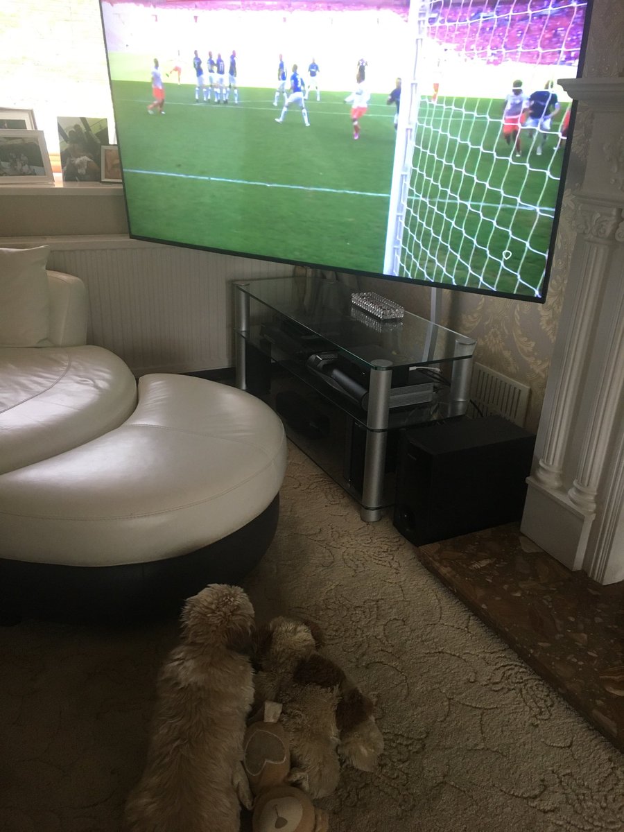 mary_jackpool's tweet photo. The Fur Baby watching the playoff final with her little friends 🤣🍊 @BlackpoolFC #PlayOffKings https://t.co/1mtsOoLRwv
