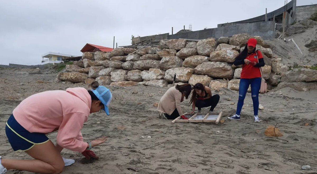 PactoVerdeEC's tweet photo. #MantaXLosOcéanos2022 | En Santa Marianita, voluntarios de @ecoplayas se suman a nuestra minga, realizando un meticuloso trabajo que incluye no solo el retiro y desalojo de basura, también la limpieza de microplástico. https://t.co/Ta4mdtrIU0