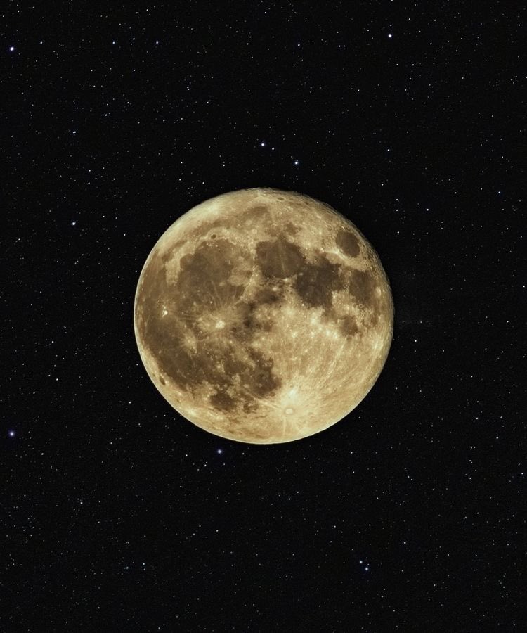 abcdleehann's tweet photo. — ¡ ateez moons ! ੈ♡

♡ - hilo de como era la luna el día que nació cada miembro - ♡ https://t.co/S43X0imZ6E