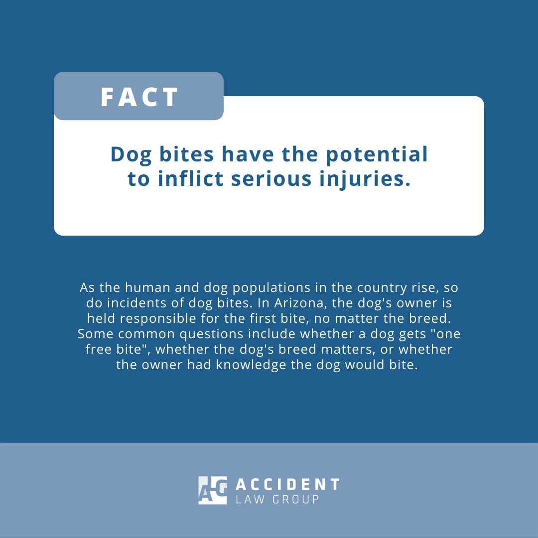 A dog bite can cause you serious injuries and put you in the red. So, if you ever get bitten by a dog in Arizona, it's important to know your legal rights under Arizona law: 

The dog's owner is held responsible for the first bite, no matter the breed.

If you or someone you know