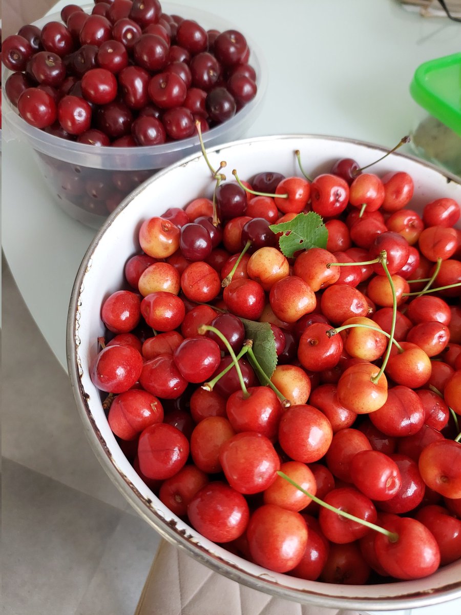 Marusia novoposs tweet media