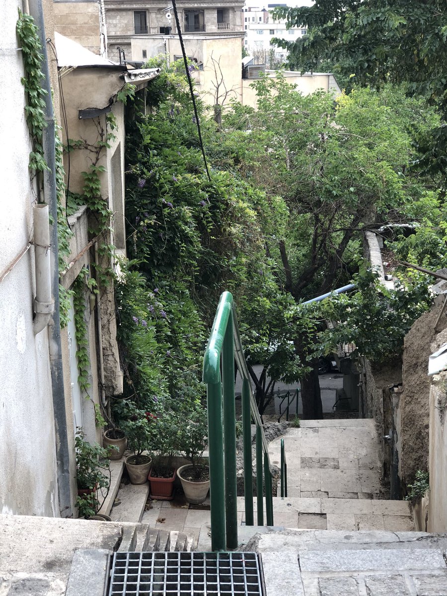 ZainabKirsteen's tweet photo. Iran is also this: rooftop views, green spaces and laneways in #Tehran. A country for all seasons. #Iran_in_reality #Iran https://t.co/2hvG9QtqLl