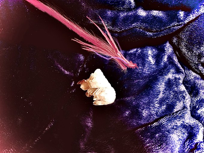 Spd27uv9orionocさんのイラストまとめ