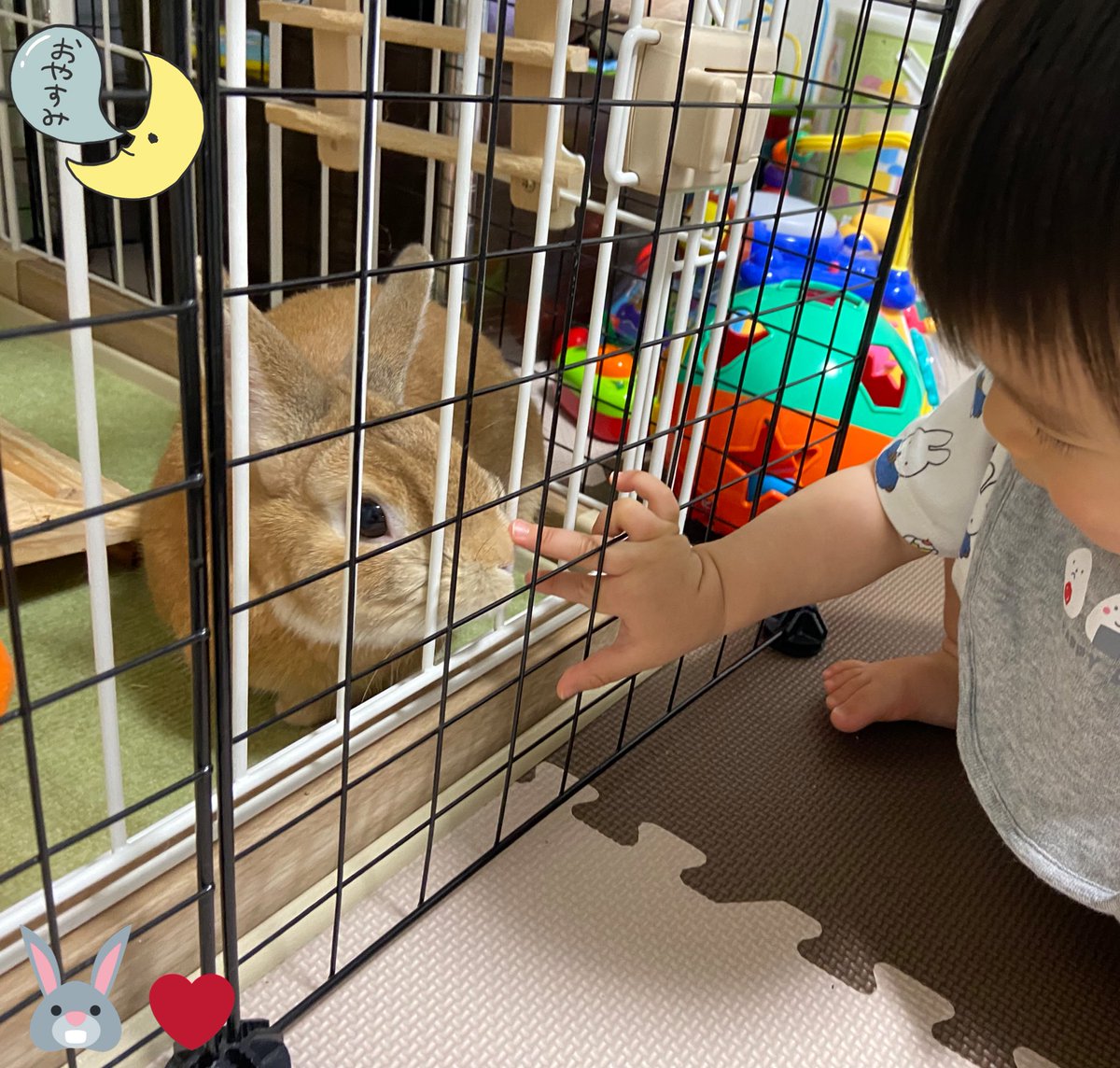 👶:『おやすみ💤また明日ね😊』
🐰:『おやすみでふ🌙いい夢を❤️』

お疲れ様でした🍀お休みなさい🌌