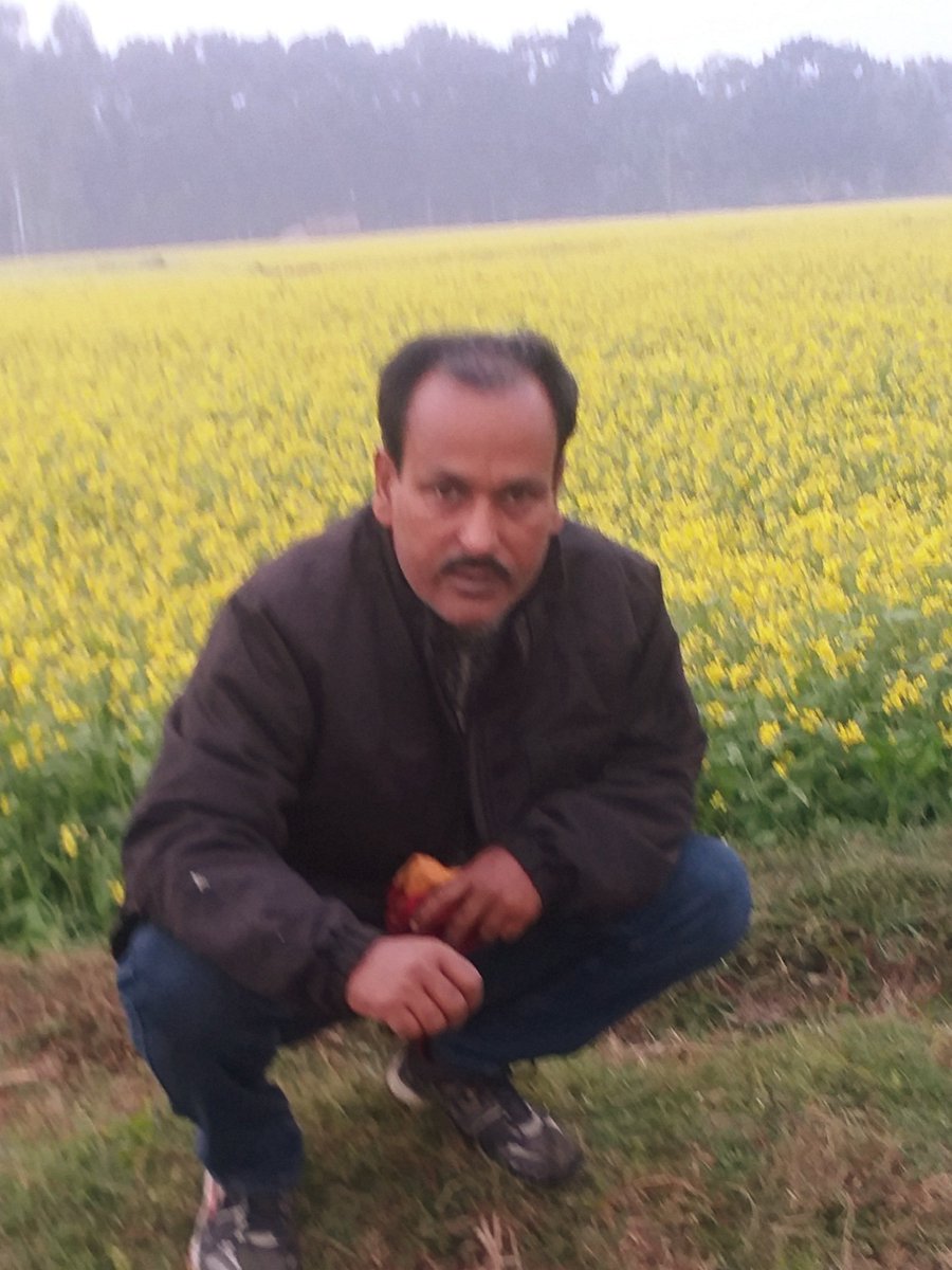 Samim Al Mamun (@ms3446377) on Twitter photo 