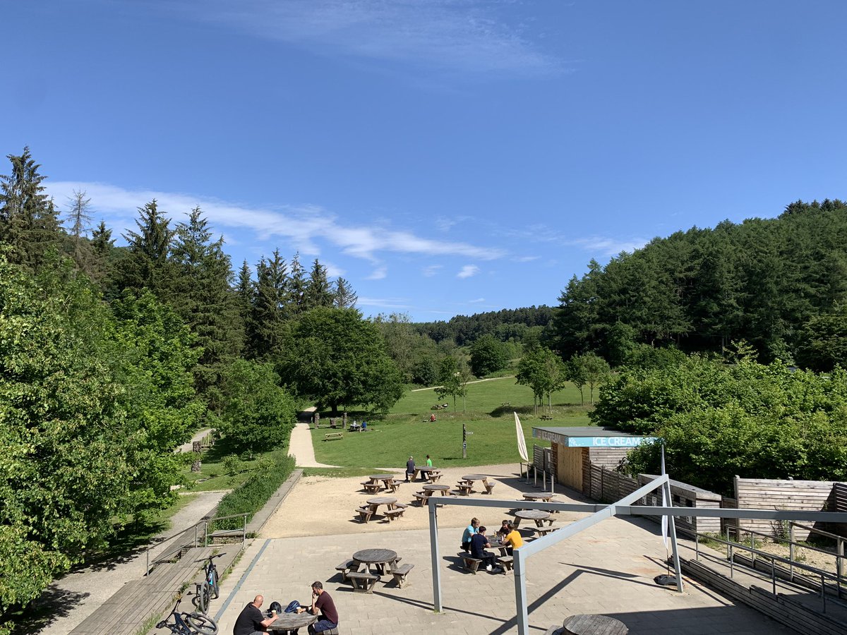 A beautiful start to the day in Dalby Forest. Much fresher with temperatures in the mid to high teens after yesterdays brief hot weather. @Dalby_Forest @TinaandM <a href="/NickyWearmouth/">Nicky Wearmouth</a> <a href="/BDalbyforest/">DalbyForest B&B</a>