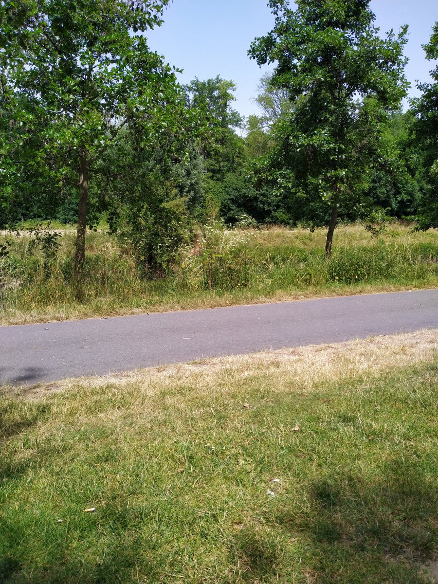 ancgreek's tweet photo. Kann man grad so aushalten 😅 😎🚲
#Kekspause https://t.co/gfBDIsLccY