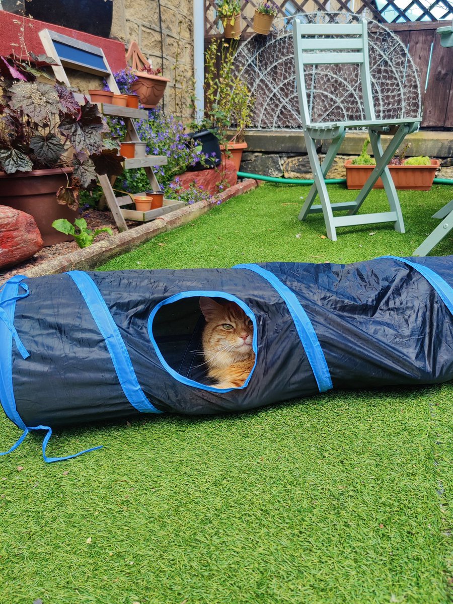 DNW ASPIRE Rep tweet media