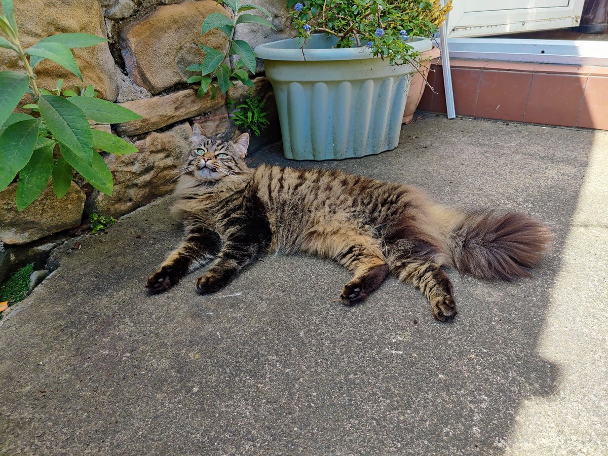 Hope everyone is enjoying the weather as much as these two this weekend! Drink water and use suncream!