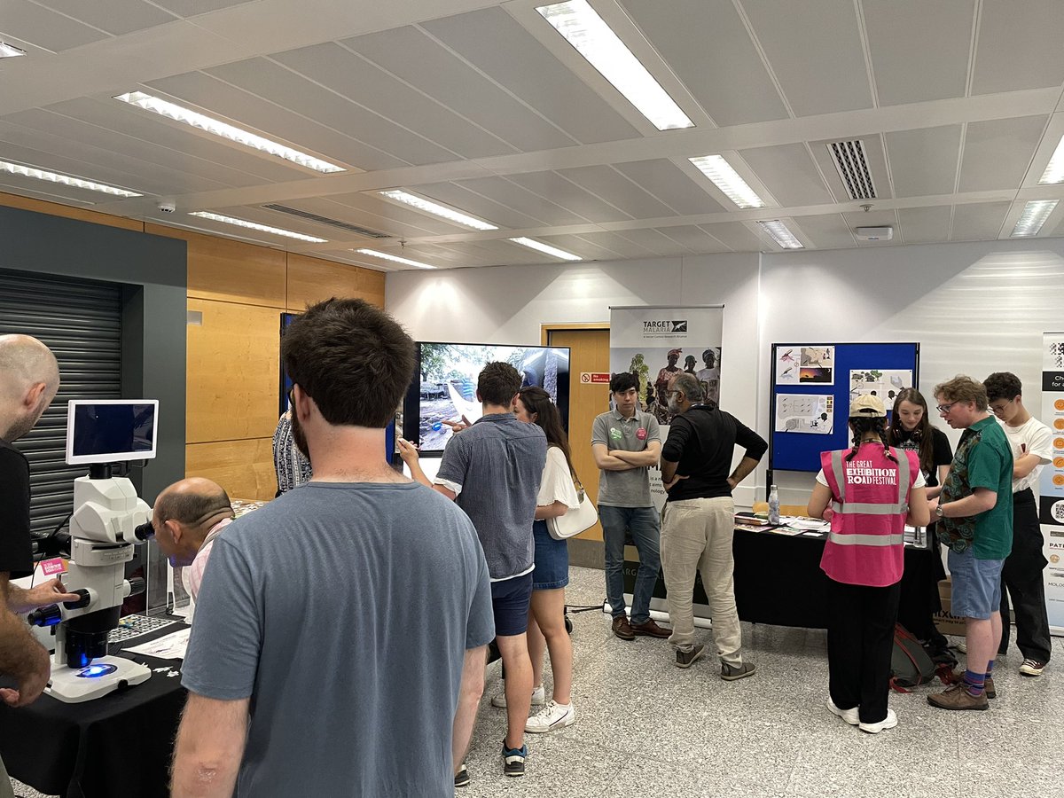 TargetMalaria's tweet photo. In London today?

Come join us at the @ExRdFestival to learn about Target Malaria’s work! 

We’ve got our Target Malaria comic &amp; colouring books 📚, the very first Target Malaria card game and even live mosquitoes in a cage!

#endmalaria #ExRdFest #malariaresearch https://t.co/sD9MObqHIe