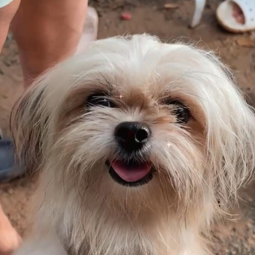 Aniemay7's tweet photo. Love <3 https://t.co/s2aaKkJHRh