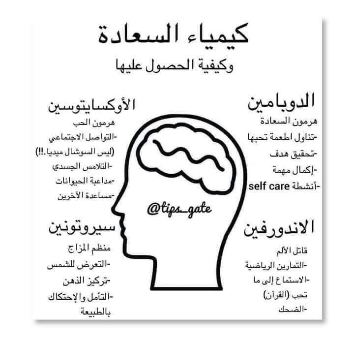 hr1037422's tweet photo. ✍🏻...هناك أربع هرمونات مسؤولة عن تحديد مستوى سعادة الإنسان ، و هي: 

🎴 أن نمارس الرياضة كل يوم من أجل الأندروفين.
🎴 أن نحقق إنجازات ولو صغيرة كل يوم من أجل الدوبامين.
🎴 أن نكون نافعين لغيرنا من أجل السيروتونين.
🎴 أن نحضن الأولاد أو الأصدقاء و الأهل من أجل الأوكسيتوسين. https://t.co/u4L0lfwYYY