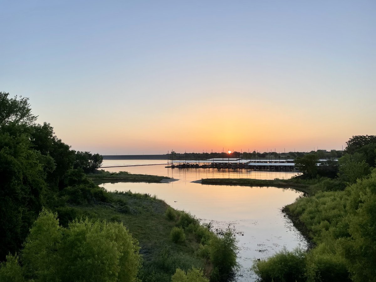 Roel 😎 tweet media