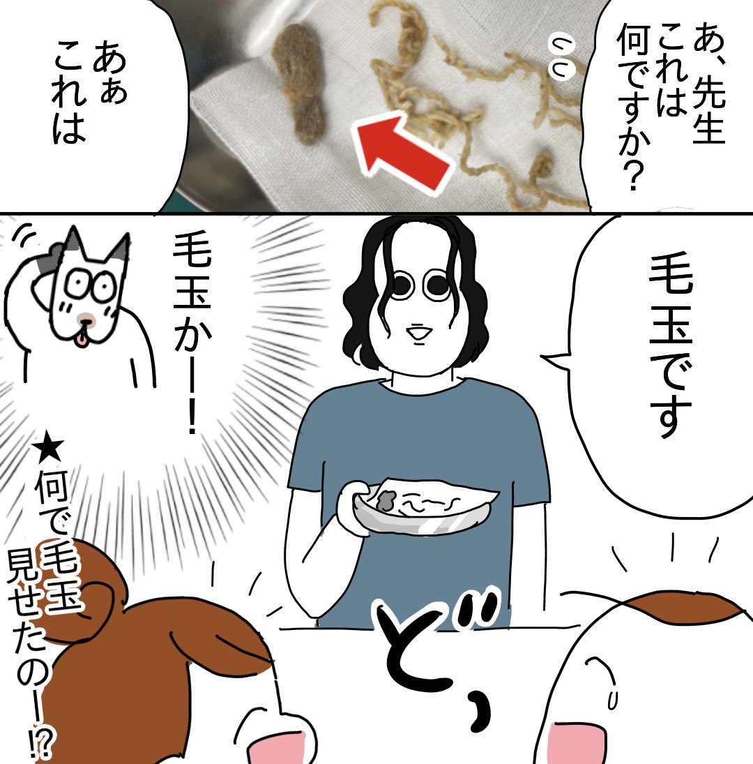 ジョルノ事件(再)⑩
～毛玉～ 