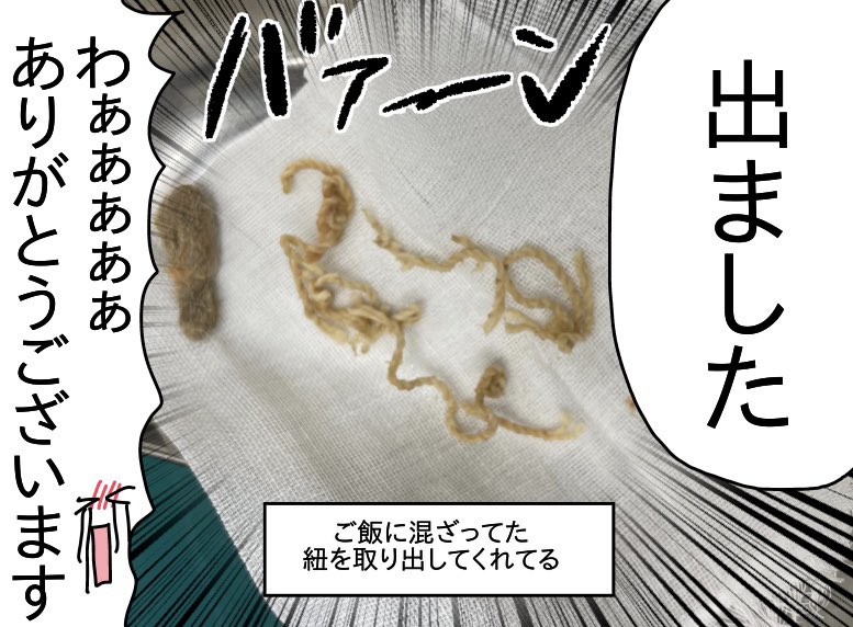 ジョルノ事件(再)⑩
～毛玉～ 