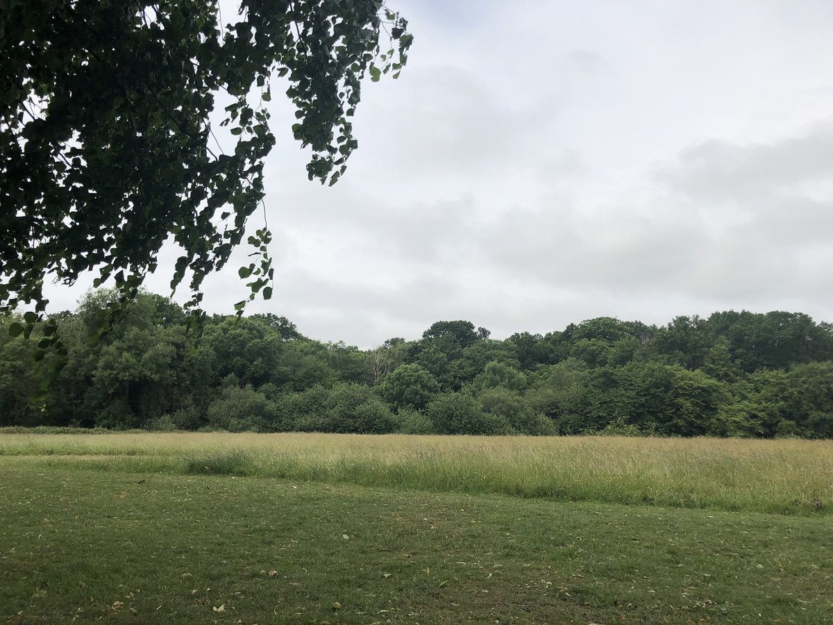 JonesAnnwen's tweet photo. Never been happier to get drenched in the rain ๐๐
#endofheatwave #London https://t.co/cT9UltauEl