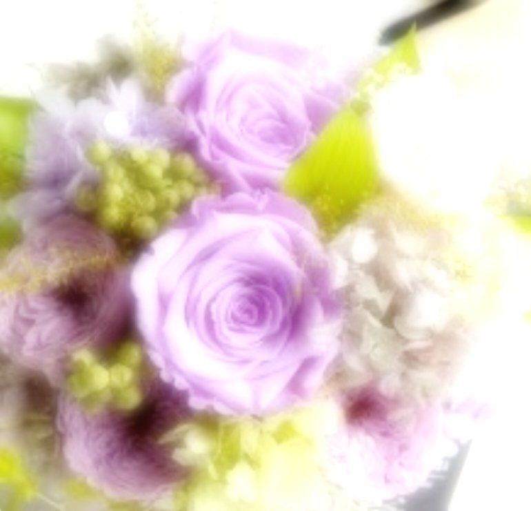 nemu_saam7's tweet photo. .
おウチにきた初めの頃は‥ずーっと1人で心を閉ざしていた「もぐちゃん」
少しずつ慣れてくれて♡今では移動のたびに着いてきて♡お腹をみせてナデナデしてずっと側にいてくれます🎀
ほんとにめちゃめちゃ愛おしいです.ꕤ*.゜
かわいい💕もぐちゃんをこれからもよろしくね*.❁ https://t.co/wHUbV7SHey