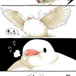 もっちもちでかわいい!痩せたいハトさんのイラスト漫画!