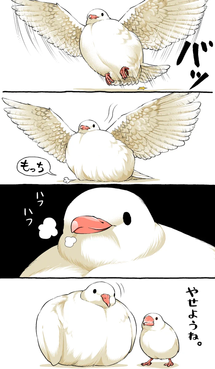 もっちもちでかわいい！痩せたいハトさんのイラスト漫画！