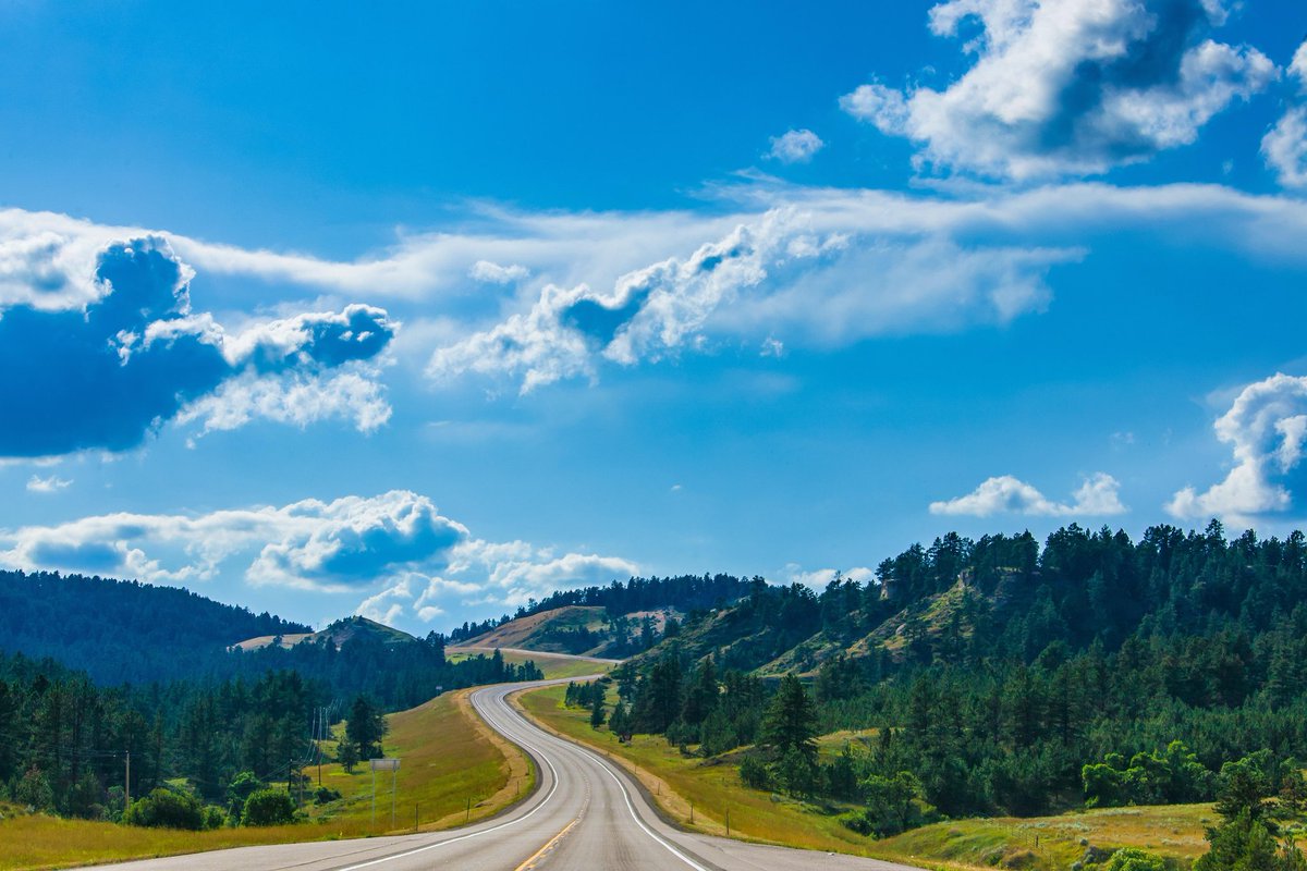 MountainsRoads's tweet photo. My #200 nft collection is complete 

Category:- Mountains roads 
Floor price:- 0.01
Available on opensea 
On polygon network 

Do check it out 
Link on Bio 

#nft #nftpost #newpost  #nftcreator #nftindia #sell #promote #nftcollection #nftsale #mountainsroadsnft 
#opensea https://t.co/IZ57nsthVS