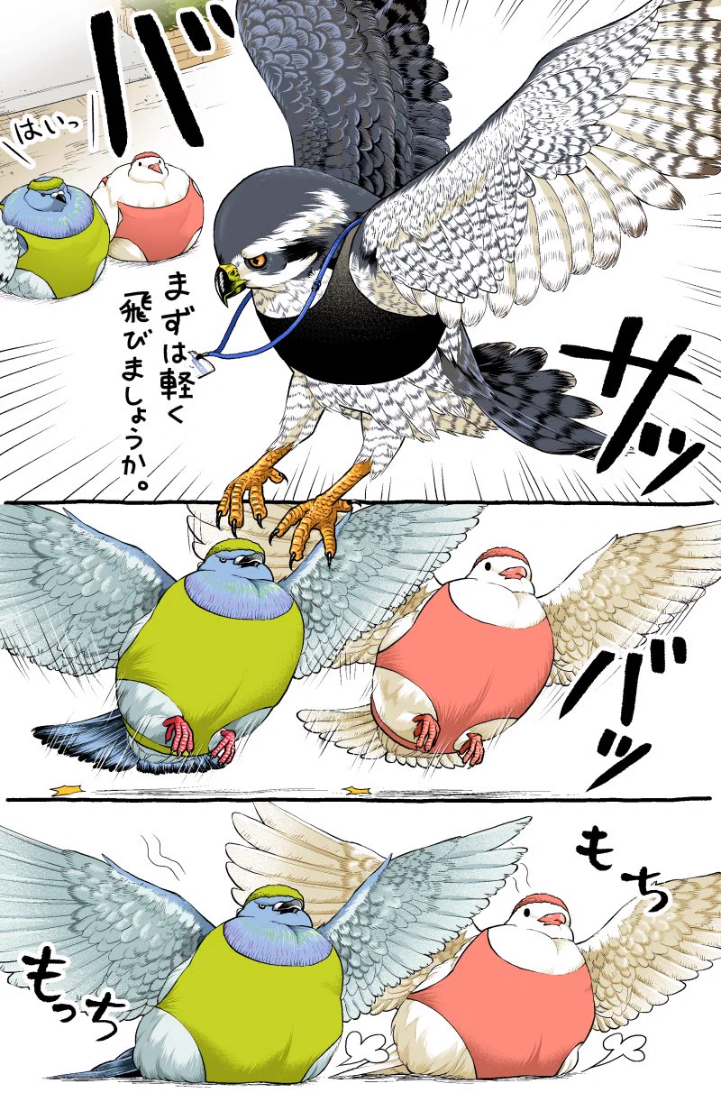 もっちもちでかわいい！痩せたいハトさんのイラスト漫画！