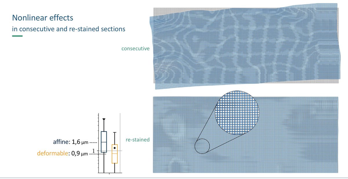 johannes_lotz's tweet image. Heading back home from @ESDIPatho #ECDP2022. It was great to talk about image registration in #computationalpathology and to discuss with everyone in person again. Thanks to the organizing team for making this such a smooth experience! 
@NormanZerbe @trkiehl