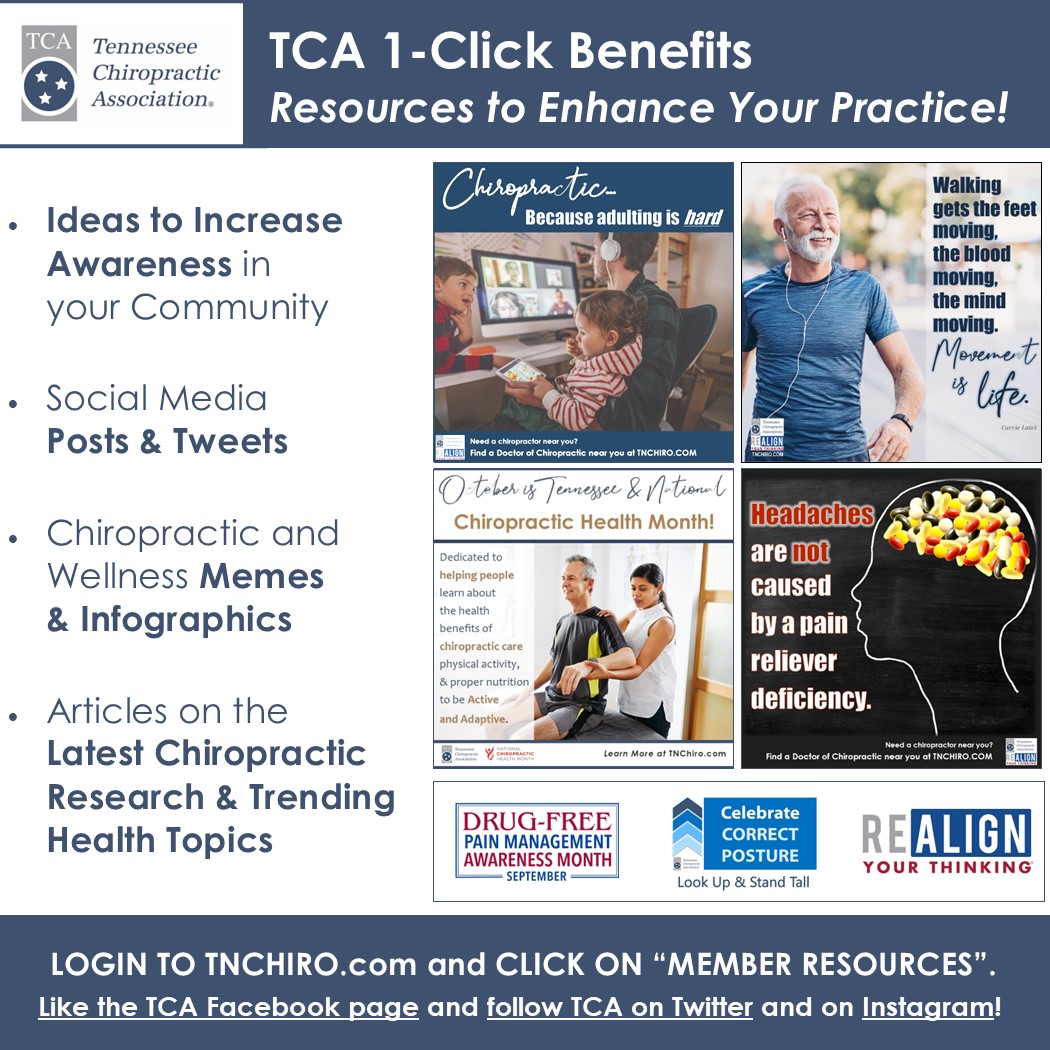 TN Chiro Association tweet media