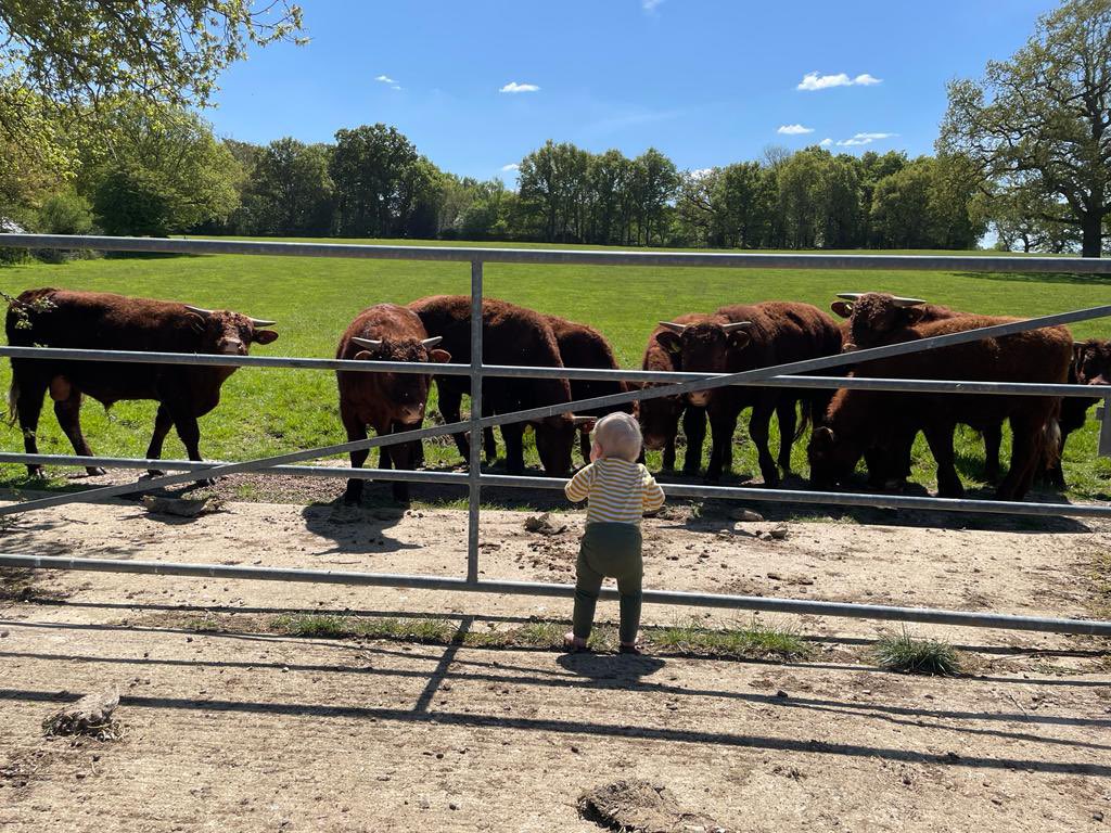 JPBWFarm's tweet photo. Our starter holding FBT ends in September and we’ve yet to find somewhere move to. Plug: Farming family after 150+ acres of pasture or ideally mixed, south or south west. Well capitalised with off farm income (photos of our cows 2022, family 2019/22 &amp; ewes 2018) https://t.co/bmcMqobx0R