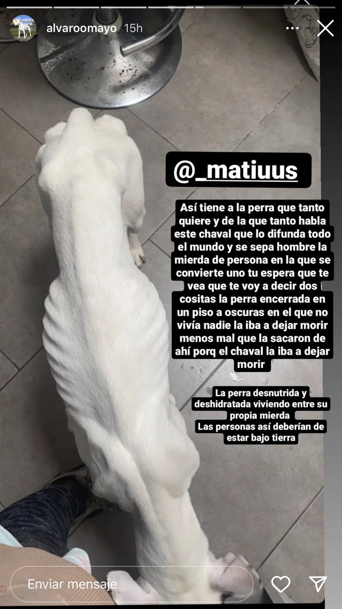 paaulafreiree's tweet photo. Difusión por favor. (Milladoiro-Santiago se Compostela). Así tenían a su perra, abandonada en un piso sola, sin luz, comida ni bebida. Con las uñas tan largas que no podía caminar. La perra ahora está a salvo pero necesitamos que esto no quede así y se haga justicia. https://t.co/h32wrrNtqr