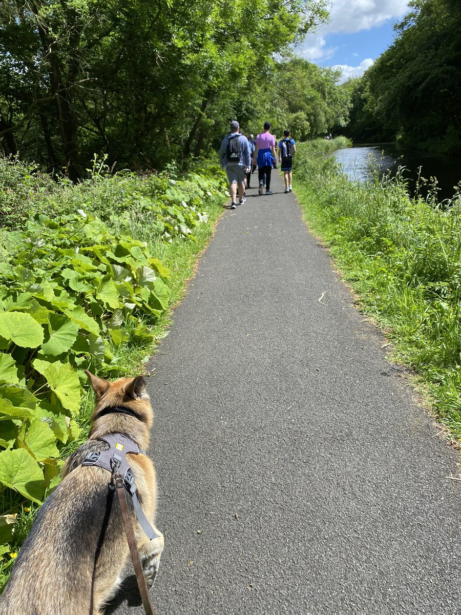 Ms Taylor tweet media