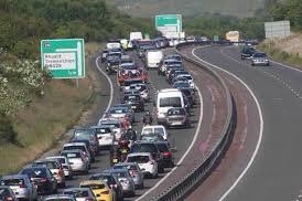 Highway Rat tweet media