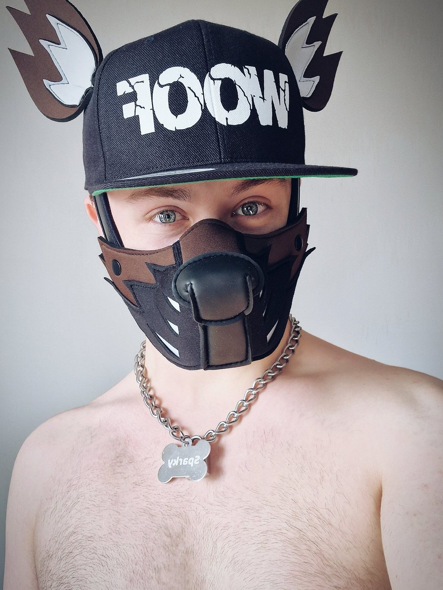 Pup_Sparky_'s tweet photo. It would only be natural if a stare like this disturbed you 👀

#pupplay #NewProfilePic #newhood  #puppy https://t.co/NV10nBhwB1