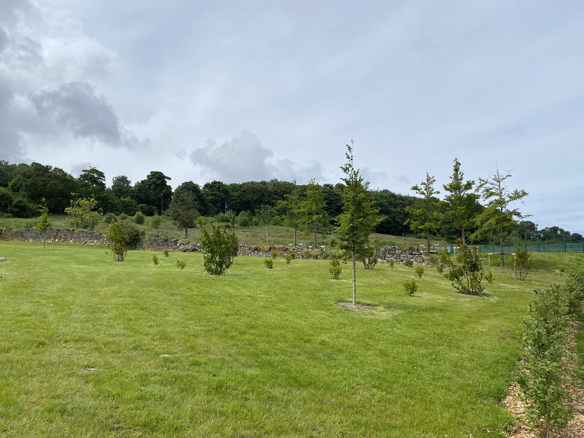jackiemcguin's tweet photo. Day 1265 of #1300daysofwalking lovely to see a new Garden of Memories in #Cleveragh looking forward to reading the poems specially commissioned for it. #DoorlyPark #LoveSligo always something new. https://t.co/Kcr56H8Dtf