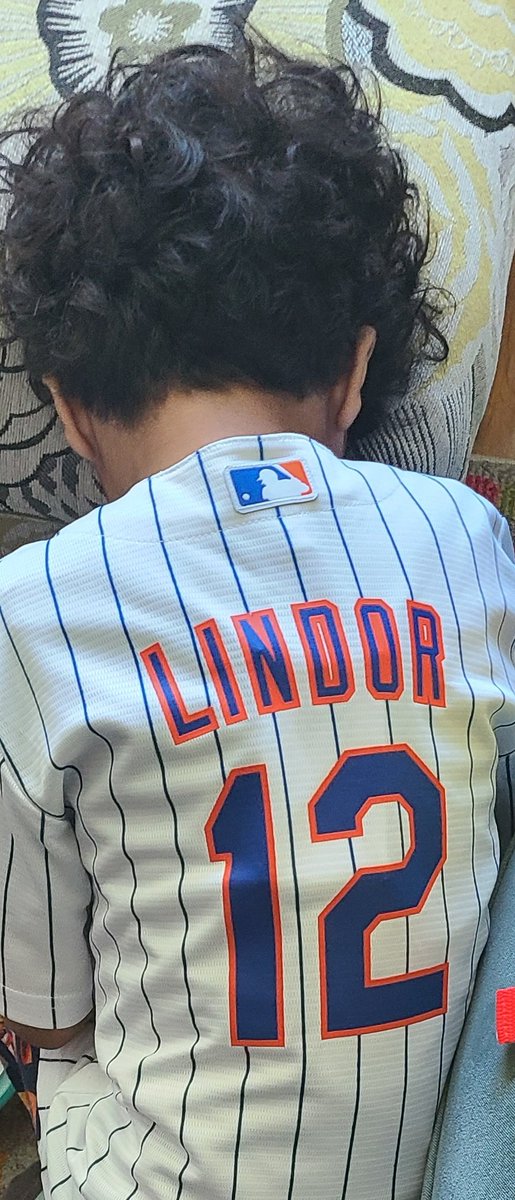 ALLEVENPODCAST's tweet photo. That how we start the morning #Lindor #WINdor #LFGM #LGM #METS #KidFromQueens https://t.co/6yFR6Kt9B8