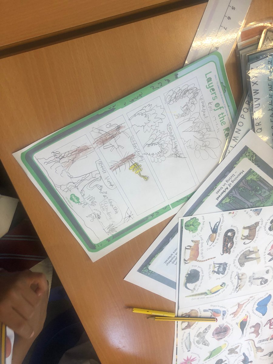 StMichaels_CE's tweet photo. Year 2  have bern learning about the diversity of plants, trees, animals, insects, reptiles, birds and arachnids in the different layers of the Amazon Rainforest. Super work Sparrows! https://t.co/HDyf9teecv