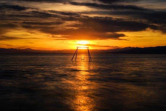 Swingers Ultimate (@swingersult) on Twitter photo 