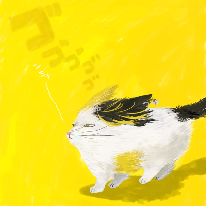 風邪に負けない🐯ネコ 